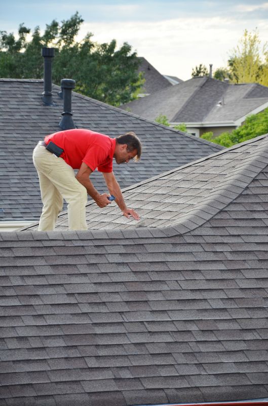Roof Inspection Image